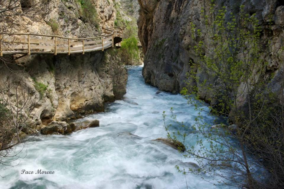 Alojamiento Rural, Cueva De La Abuela Cuevas del Campo Bagian luar foto
