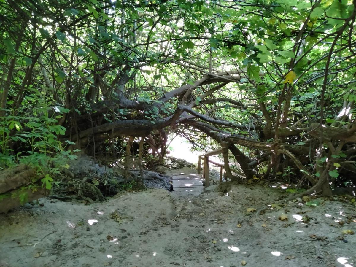 Alojamiento Rural, Cueva De La Abuela Cuevas del Campo Bagian luar foto